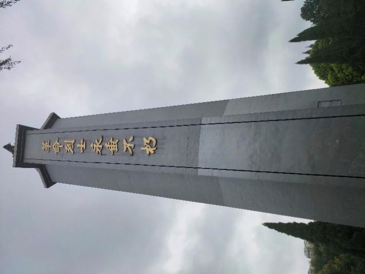 色情视频